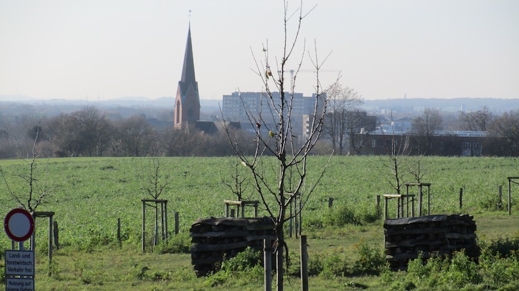 Optische Eindrücke/ Stimmungen/ Bilder aus unserem Ortsteil Recklinghausen-Ost